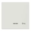 Schneider Electric Merten 435319 billentyű kulcsjellel, jelzőfényes funkciókhoz polárfehér - System-M (M-Plan / M-Pure / M-Smart)