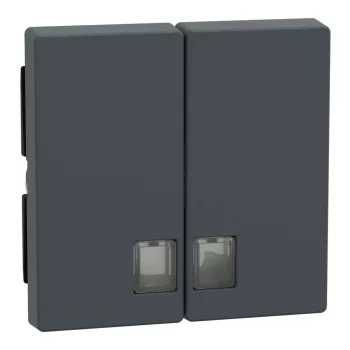  Schneider Electric Merten 437514 dupla billentyű átlátszó fényjelző ablakokkal antracit - System-M (M-Plan / M-Pure / M-Smart)