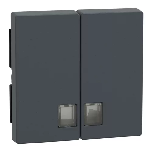 Schneider Electric Merten 437514 dupla billentyű átlátszó fényjelző ablakokkal antracit - System-M (M-Plan / M-Pure / M-Smart)