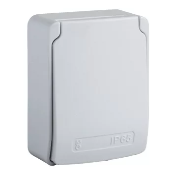   Schneider 81144 PRATIKA Háztartási aljzat, 2P+F, 65x85, hátsó meghúzással, szürke, IP65, angol