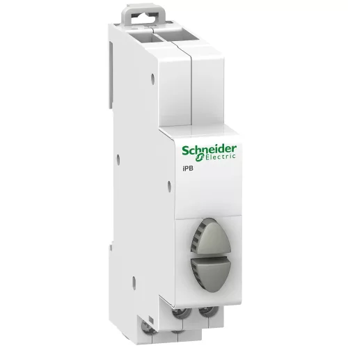 Schneider Electric Acti9 iPB A9E18035 nyomógomb 2 NO szürke és szürke