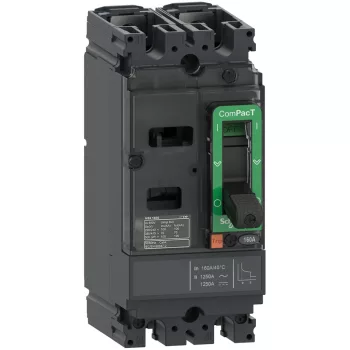 Schneider ComPacT NSX100M 2P 20 A TMD kompakt megszakító, 25 kA