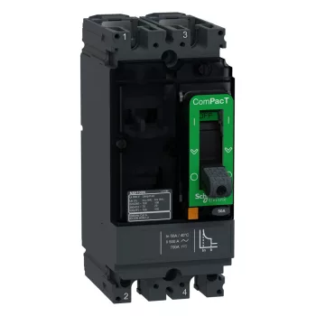 Schneider ComPacT NSX100S 2P 50 A TMD kompakt megszakító, 70 kA