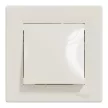Schneider Electric Asfora EPH0100123 egypólusú kapcsoló (101), bézs burkolattal, kerettel, süllyesztett 10A 250V ( EPH0100123 ).