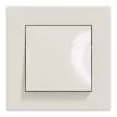 Schneider Electric Asfora EPH0100223 vízmentes egypólusú kapcsoló (101), bézs burkolattal, kerettel, süllyesztett, vízmentes (IP44) 10A 250V ( EPH0100223 ).
