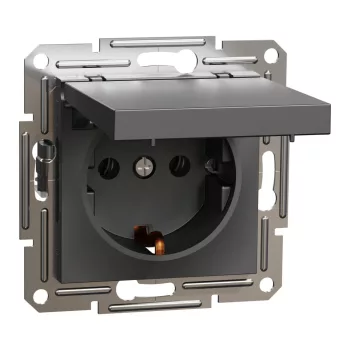 Schneider Asfora EPH3100171 csatlakozóaljzat antracit