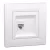 Schneider Asfora EPH4700121 1xRJ45 Cat6 UTP aljzat fehér