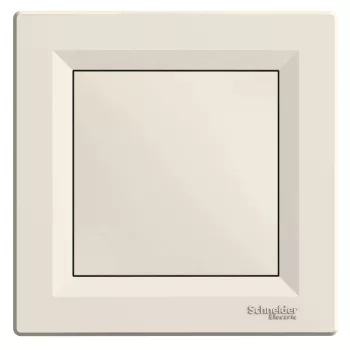   Schneider Electric Asfora EPH5600123 Vakfedél, bézs kerettel ( EPH5600123 ).