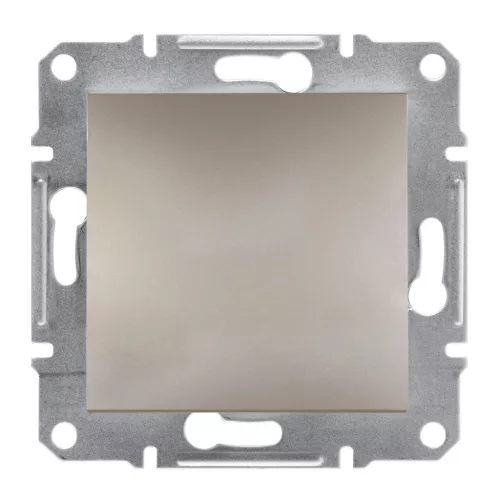 Schneider Asfora EPH5600169 vakfedél bronz