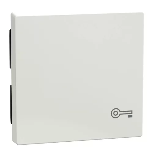 Schneider Electric Merten MEG3303-0319 Billentyű, kulcsjellel, System-M, polárfehér