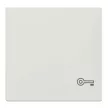 Schneider Electric Merten MEG3303-0319 Billentyű, kulcsjellel, System-M, polárfehér