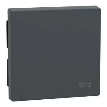 Schneider Electric Merten MEG3303-0414 Billentyű, kulcsjellel, System-M, antracit