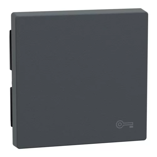 Schneider Electric Merten MEG3303-0414 Billentyű, kulcsjellel, System-M, antracit