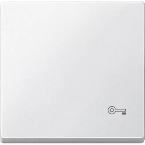 Schneider Electric Merten MEG3303-0419 Billentyű, kulcsjellel, System-M, mattfehér