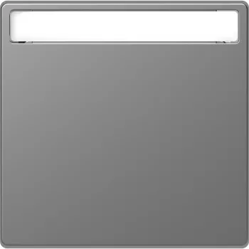   Schneider Electric Merten MEG3360-6036 feliratozható billentyű acél - System-D (D-Life / D-Antik)