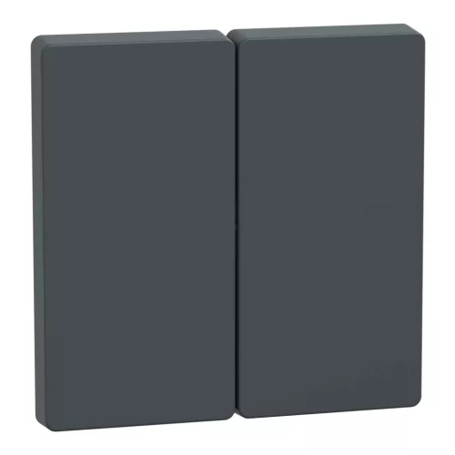 Schneider Electric Merten MEG3400-6034 dupla billentyű antracit - System-D (D-Life / D-Antik)