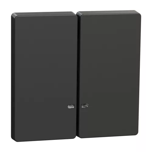 Schneider Electric Merten MEG3420-6034 Dupla billentyű, fényjelzős funkciókhoz, System-D, antracit