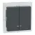 Schneider Electric Merten MEG3424-0414 IP44-es dupla billentyű fényjelzős funkciókhoz antracit - System-M (M-Plan / M-Pure / M-Smart)
