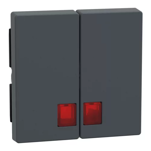 Schneider Electric Merten MEG3456-0414 Dupla billentyű, piros fényjelző ablakokkal, System-M, antracit