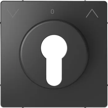   Schneider Electric Merten MEG3883-6034 fedlap DIN kulcsos redőnyvezérlőkhöz  antracit - System-D (D-Life / D-Antik)