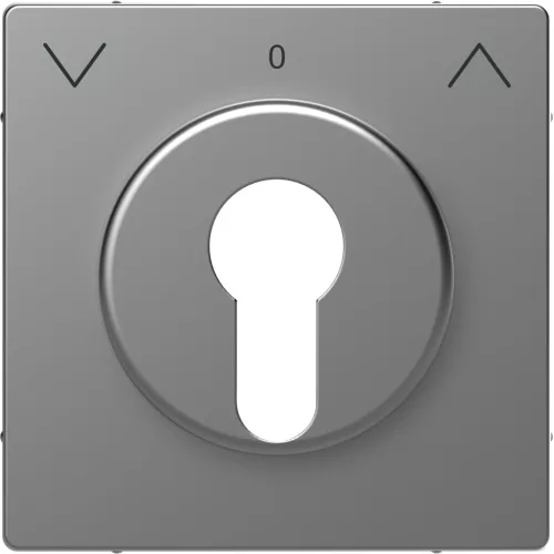 Schneider Electric Merten MEG3883-6036 fedlap DIN kulcsos redőnyvezérlőkhöz  acél - System-D (D-Life / D-Antik)