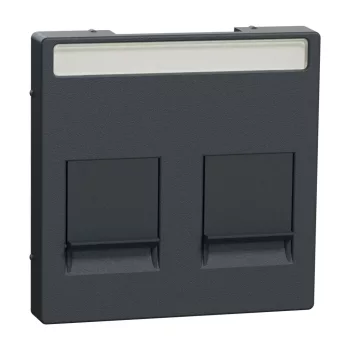   Schneider Electric Merten MEG4564-0414 fedlap, 2xRJ45 moduláris betétekhez, feliratozható  antracit - System-M (M-Plan / M-Pure / M-Smart)