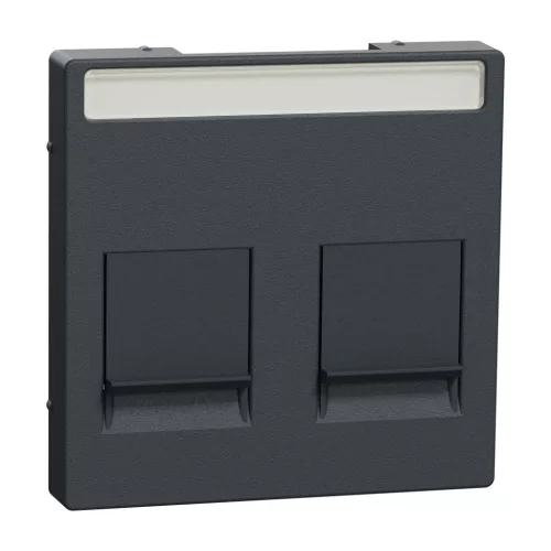 Schneider Electric Merten MEG4564-0414 Fedlap, 2xRJ45 moduláris betétekhez, feliratozható, System-M, antracit