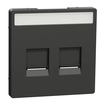 Schneider Electric Merten MEG4564-6034 Fedlap, 2xRJ45 moduláris betétekhez, feliratozható, System-D, antracit