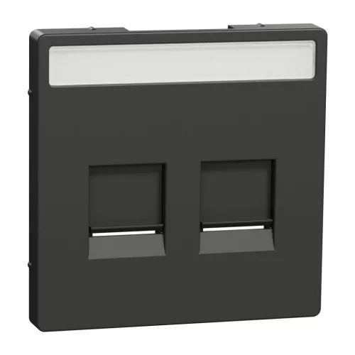Schneider Electric Merten MEG4564-6034 Fedlap, 2xRJ45 moduláris betétekhez, feliratozható, System-D, antracit
