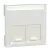 Schneider Electric Merten MEG4574-0319 fedlap, 2xRJ45 aljzathoz, feliratozható  polárfehér - System-M (M-Plan / M-Pure / M-Smart)