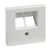 Schneider Electric Merten MTN296119 fedlap, döntött kivitelű 2xRJ45 aljzathoz, feliratozható  polárfehér - System-M (M-Plan / M-Pure / M-Smart)