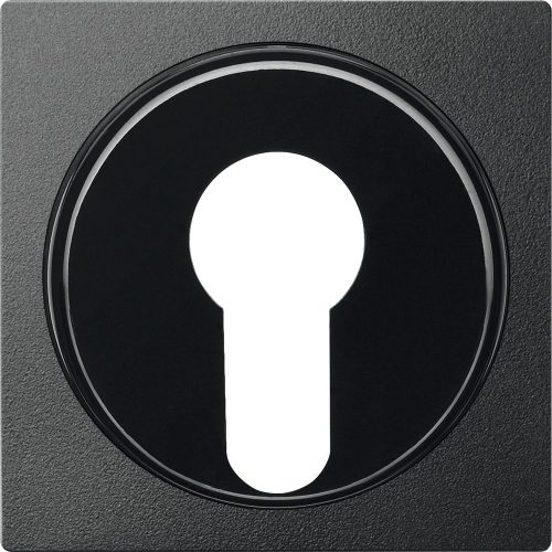 Schneider MTN318114 antracit burkolat kulcsos kapcsolókhoz betétekhez (Merten M-Smart, M-Plan, M-Elegance)