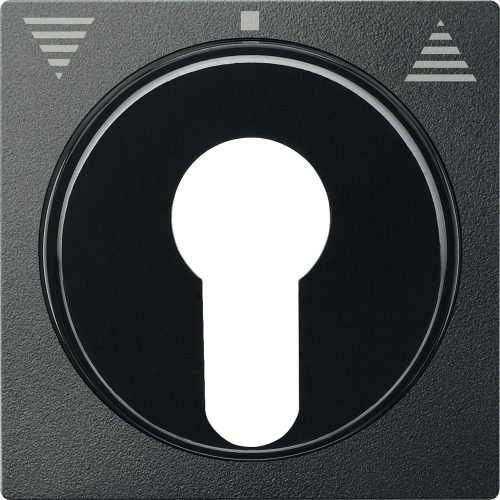 Schneider MTN319314 antracit burkolat kulcsos redőnyvezérlők betétekhez (Merten M-Smart, M-Plan, M-Elegance)