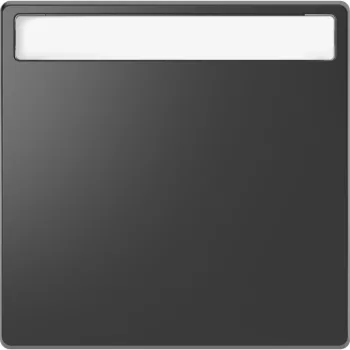   Schneider MTN3360-6034 1-es billentyű antracit feliratozható ( Merten D-Life)