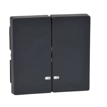   Schneider MTN3420-0414 2-es billentyű antracit, fényjelzős funkciókhoz ( Merten M-Smart, M-Plan, M-Elegance)