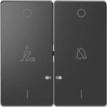   Schneider Electric Merten MTN3429-6034 dupla billentyű, ne zavarj/takarítás szimbólummal, antracit - System-D (D-Life / D-Antik)