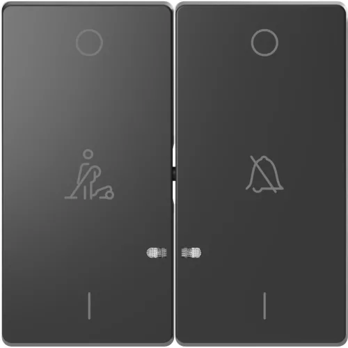 Schneider Electric Merten MTN3429-6034 dupla billentyű, ne zavarj/takarítás szimbólummal, antracit - System-D (D-Life / D-Antik)