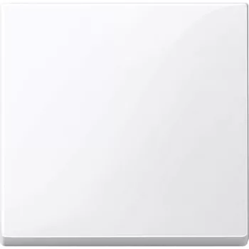Schneider Electric Merten MTN432125 Billentyű, System-M, aktívfehér