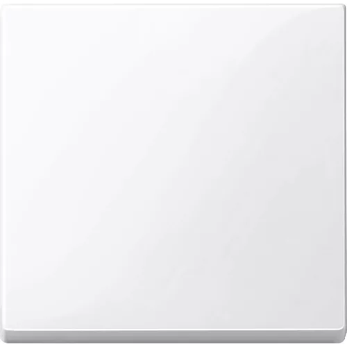 Schneider Electric Merten MTN432125 Billentyű, System-M, aktívfehér