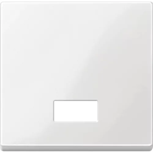 Schneider Electric Merten MTN432819 Billentyű, szimbólumokhoz, System-M, polárfehér