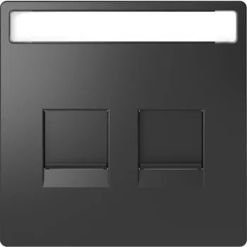   Schneider MTN4564-6034 antracit burkolat 2xRJ45 moduláris betétekhez, feliratozható (Merten D-Life)