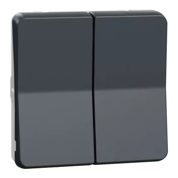Schneider Mureva Styl MUR35019 kettős váltókapcsoló (106+6) antracitszürke IP55