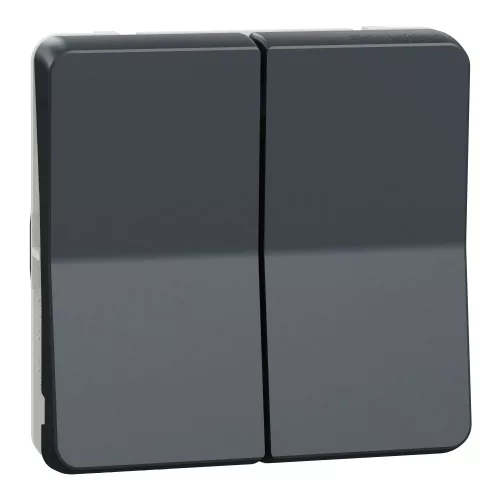 Schneider Mureva Styl MUR35019 kettős váltókapcsoló (106+6) antracitszürke IP55