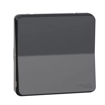   Schneider MUR35020 MUREVA Styl Keresztkapcsoló (107), antracitszürke