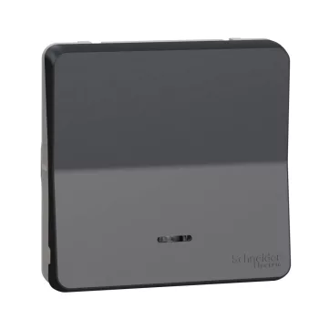   Schneider MUR35025 MUREVA Styl Váltókapcsoló, fényjelzős (jelző vagy ellenőrző), antracitszürke