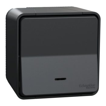   Schneider Electric Mureva Styl MUR35028 IP55 vízmentes egypólusú nyomó (N101), antracitszürke, komplett szerelvény, falon kívüli, vízmentes (IP55), jelzőfénnyel 10A 250 ( MUR35028 ).
