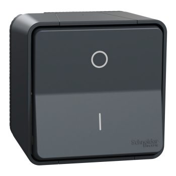   Schneider Electric Mureva Styl MUR35033 IP55 vízmentes kétpólusú kapcsoló (102), antracitszürke, komplett szerelvény, falon kívüli, vízmentes (IP55) 10A 250 ( MUR35033 ).
