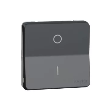 Schneider Mureva Styl MUR35034 kétpólusú kapcsoló (102) antracitszürke IP55