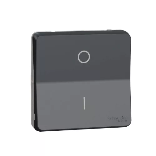 Schneider Mureva Styl MUR35034 kétpólusú kapcsoló (102) antracitszürke IP55