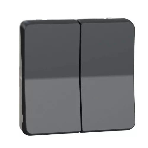 Schneider Mureva Styl MUR35042 redőnynyomó antracitszürke IP55